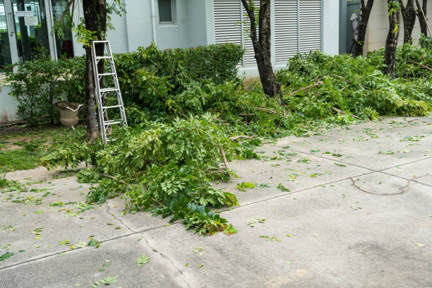 Seasonal Cleanup (Spring/Fall) in Garnet, CA